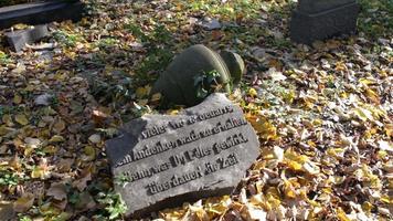 un vecchio cimitero ebraico a Breslavia - lastre tombali e cripte ricoperte di edera video