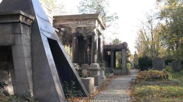 um antigo cemitério judaico em wroclaw - lajes e criptas cobertas de hera