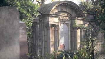 un ancien cimetière juif de wroclaw, pologne - breslau - les dalles et les cryptes des tombes sont recouvertes de lierre video