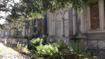un ancien cimetière juif de wroclaw - dalles de tombe et cryptes recouvertes de lierre