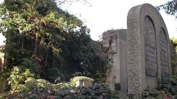 An old Jewish Cemetery in Wroclaw - Grave Slabs and Crypts overgrown with Ivy video