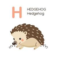 English alphabet letter H and Hedgehog cartoon. vector