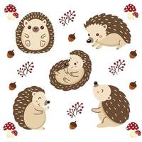 Set of cute  hedgehog cartoon in various poses. vector