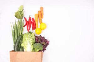 Tipos de verduras en bolsa de papel aislado sobre fondo blanco. foto