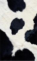 Cow skin texture photo
