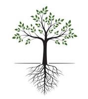 Shape of Tree with Leaves and Roots. Vector outline Illustration. Plant in Garden.