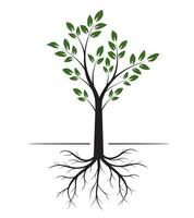 Shape of Tree with Leaves and Roots. Vector outline Illustration. Plant in Garden.