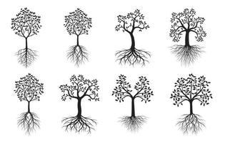 Trees with Leaves and Roots. Vector outline Illustration. Plant in Garden.