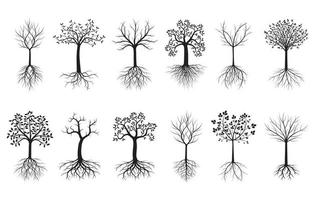 Black Trees with Roots. Vector outline Illustration. Plant in Garden.