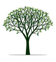 árbol verde con raíces. ilustración de contorno vectorial. planta en jardín. vector