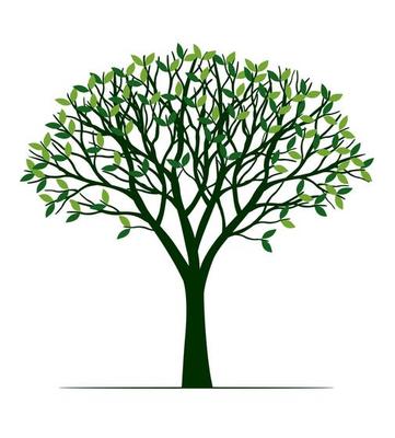 Green Tree with Roots. Vector outline Illustration. Plant in Garden.