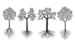 Trees with Leaves and Roots. Vector outline Illustration. Plant in Garden.