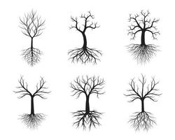 Trees with Roots. Vector outline Illustration. Plant in Garden.