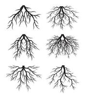 raíces de árbol. archivo vectorial ilustración de contorno vectorial. planta en jardín.