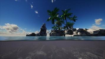 brown muddy water and palms on island photo