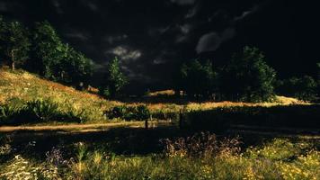 Thunderstorm clouds with lightning in green meadow photo