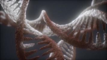 loop double helical structure of dna strand close-up animation photo