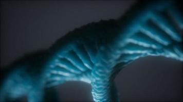 loopable structure of the DNA double helix animation photo