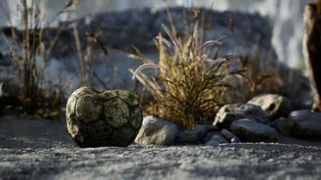An old torn soccer ball thrown lies on sand of sea beach photo