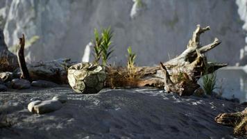 An old torn soccer ball thrown lies on sand of sea beach photo