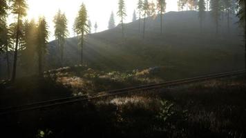 National Forest Recreation Area and the fog with railway photo