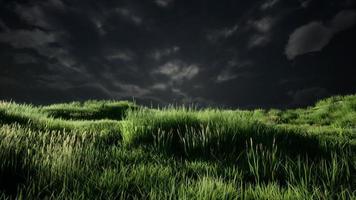 Storm clouds above meadow with green grass photo