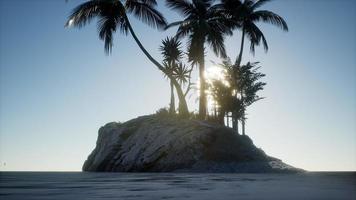 isla tropical de maldivas en el océano foto