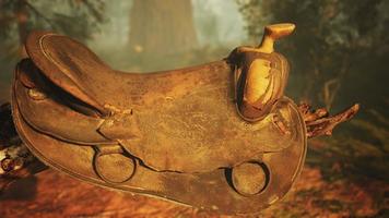 vintage Leather horse saddle on the dead tree in forest at sunset photo