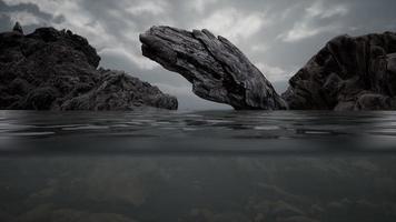 Half underwater in northern sea with rocks photo