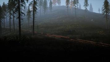 National Forest Recreation Area and the fog with railway photo