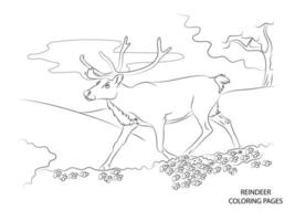 Animal Coloring page design. coloring page design. Animal line art design. vector