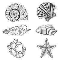 A set of seashells. Black outline line, doodle style