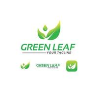 green leaf logo design template Pro Vector