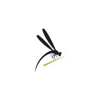 Dragonfly illustration icon design template vector