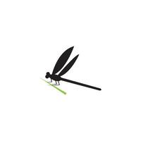 Dragonfly illustration icon design template vector