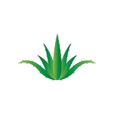 Aloe vera logo vector ilustration template 5818971 Vector Art at Vecteezy