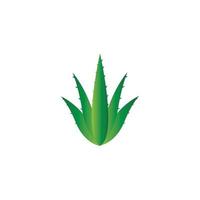 Aloe vera logo vector ilustration template