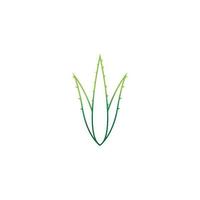 Aloe vera logo vector ilustration template