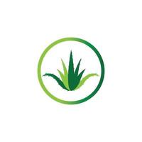 Aloe vera logo vector ilustration template