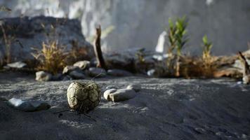 An old torn soccer ball thrown lies on sand of sea beach photo