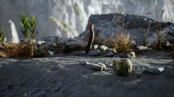 An old torn soccer ball thrown lies on sand of sea beach photo