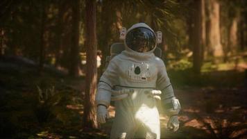 lonely Astronaut in dark forest photo