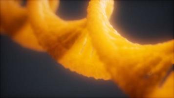 loopable structure of the DNA double helix animation photo