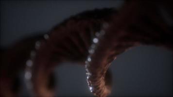 loop double helical structure of dna strand close-up animation photo