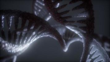 loop double helical structure of dna strand close-up animation photo