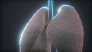 Animación 3d de pulmones humanos foto