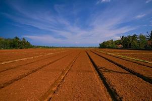hermosa tierra agrícola lista para plantar foto
