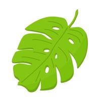 Green palm leaf in cartoon style. vector