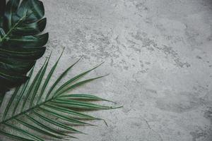 Flat lay of tropical palm leaves set on cement floor with copy space. photo