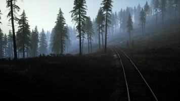 National Forest Recreation Area and the fog with railway photo